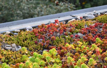 the cost of Fordgate green roof installation
